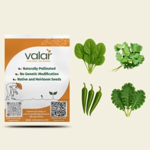 valar daily greens & spice (spinach, coriander, green chili and kale)