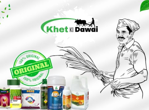 whatsapp image 2025 11 16 at 09.04.04 1f0a7153