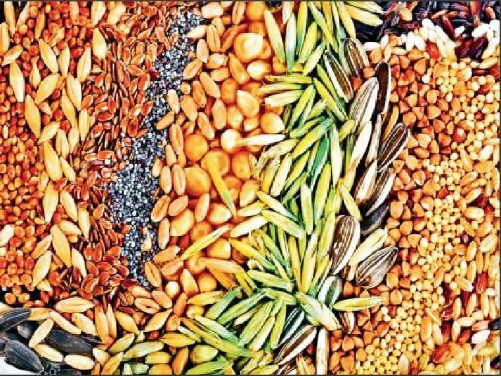 whatsapp image 2025 11 16 at 09.09.33 0deecb8e