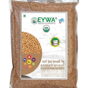 eywa seeds & exports pvt ltd ऑर्गेनिक सरबाती गेहूं के दाने (5 किलोग्राम) खाने और पकाने के लिए | आईवा द्वारा प्रीमियम अनाज/गेहू